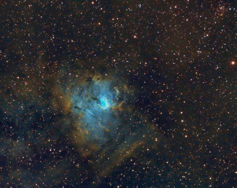 NGC-1491
